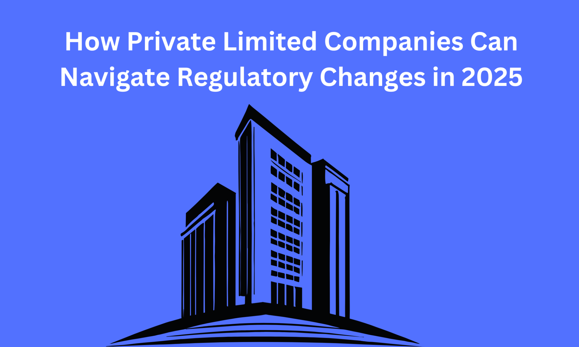 How Private Limited Companies Can Navigate Regulatory Changes in 2025